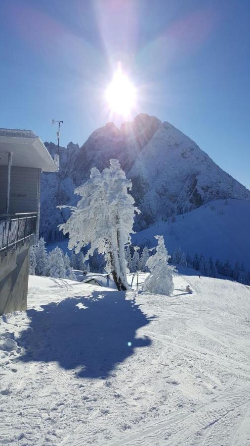 Gaestehaus Walpurga Russbach am Pass Gschütt Buitenkant foto