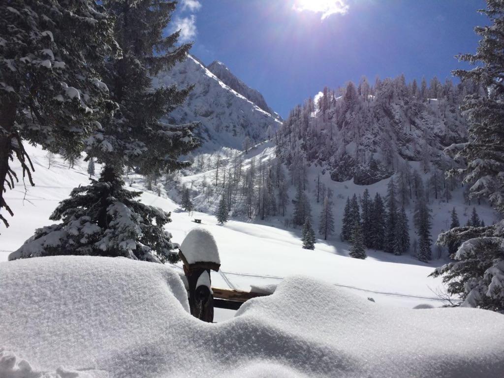 Gaestehaus Walpurga Russbach am Pass Gschütt Buitenkant foto