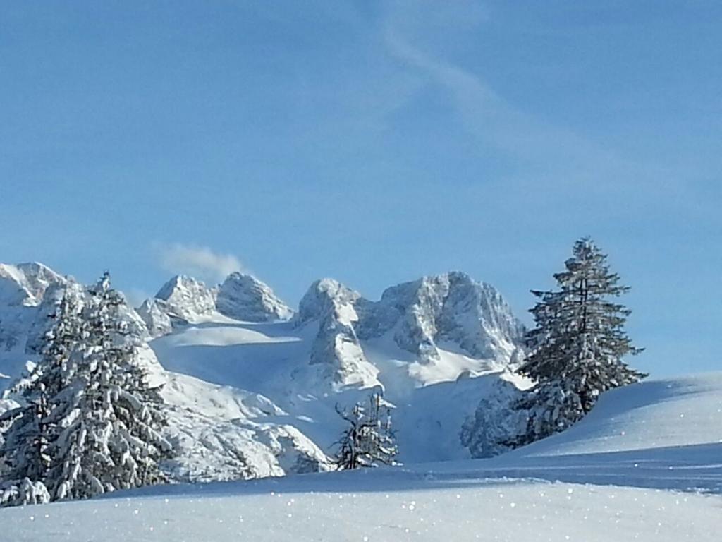 Gaestehaus Walpurga Russbach am Pass Gschütt Buitenkant foto