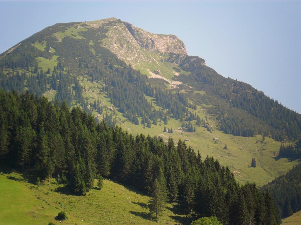 Gaestehaus Walpurga Russbach am Pass Gschütt Buitenkant foto